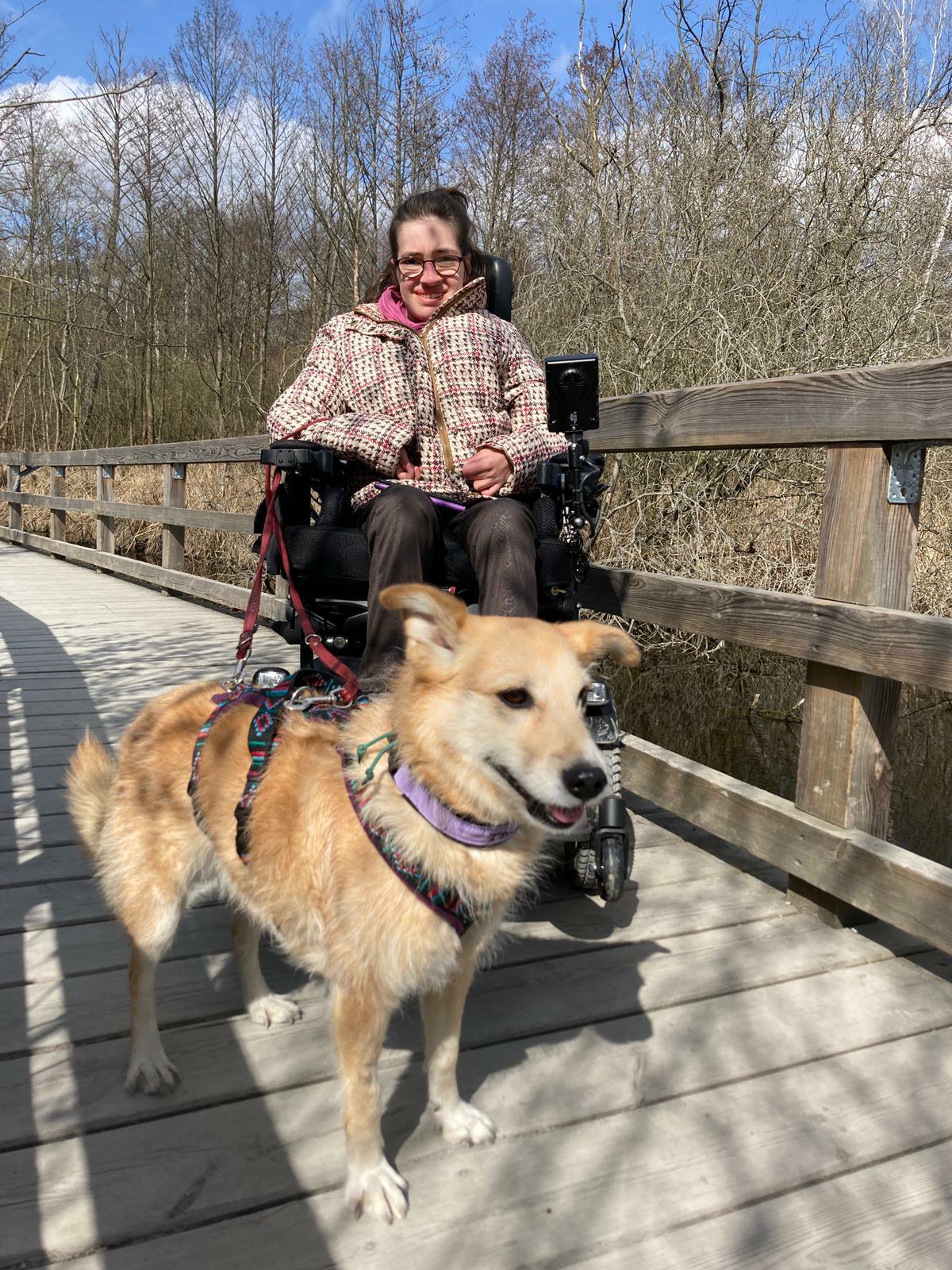 auf einer Holzbrücke in der Natur steht eine junge Frau im Elektrorollstuhl. Sie hat einen hellbraunen Hund an der Leine, der etwas versetzt vor ihr steht. Er schaut mit leicht, zur Seite stehenden Ohren an der Kamera vorbei.