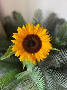 Sonnenblume im grünen